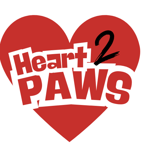 Hearts to Paws